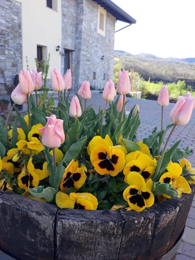Poggio D'Incanto Bettola (Emilia-Romagna) Exterior foto